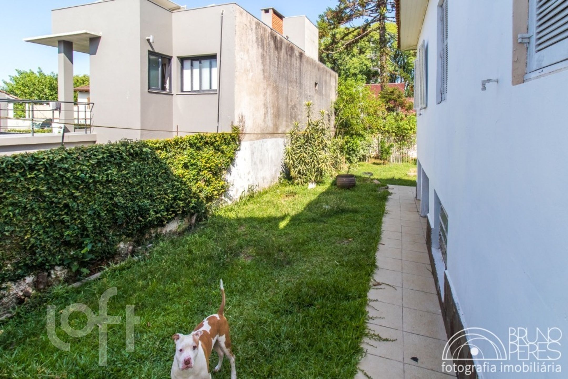 Imagem da propriedade 55