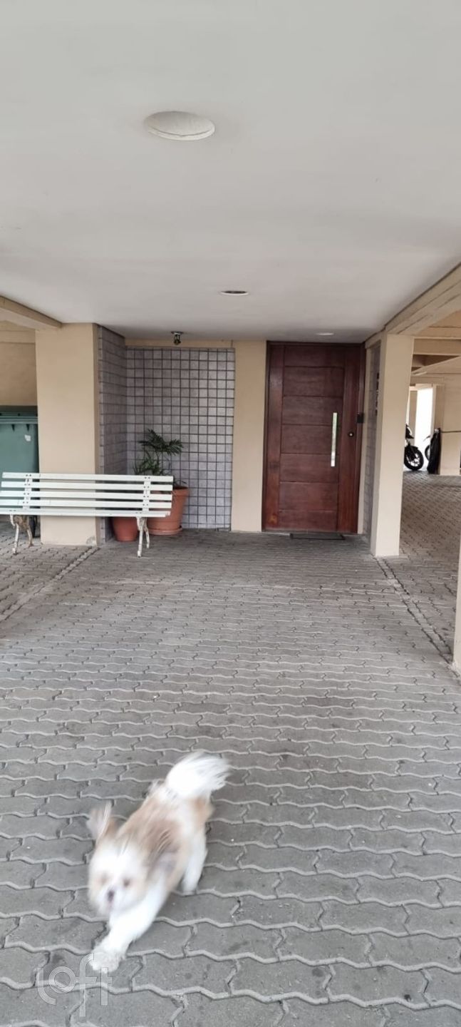 Imagem da propriedade 15