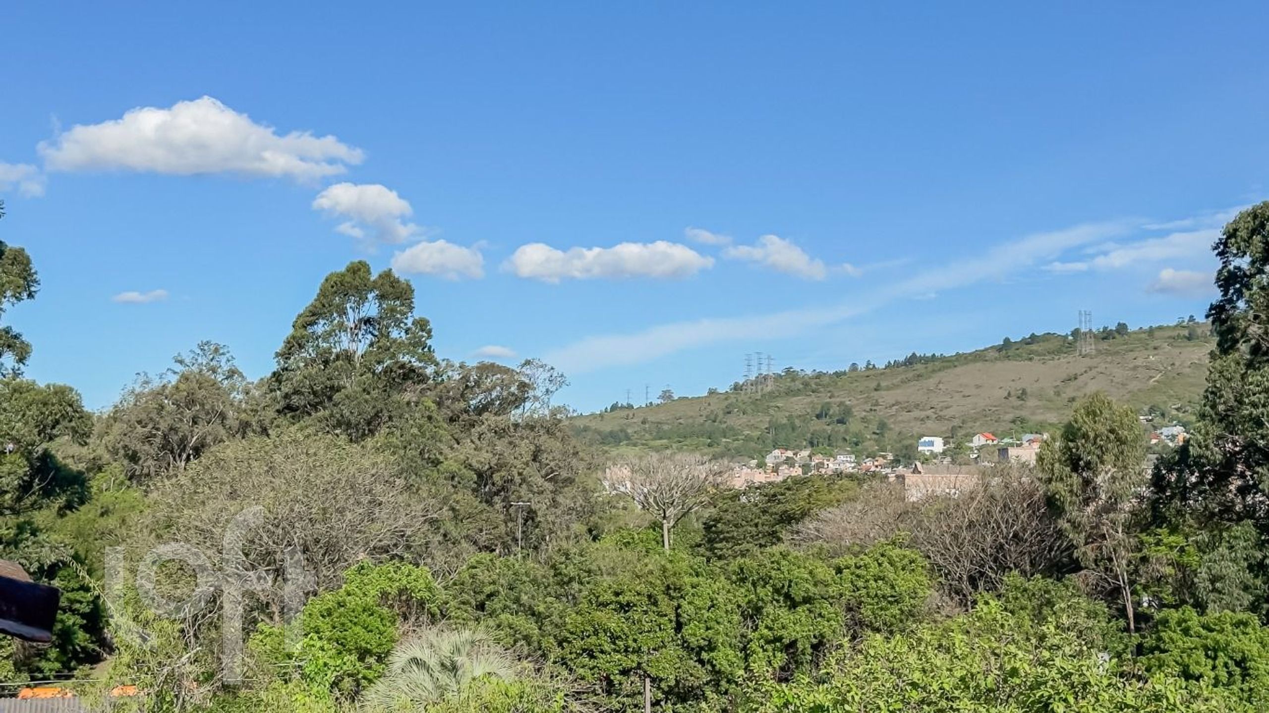 Imagem da propriedade 15