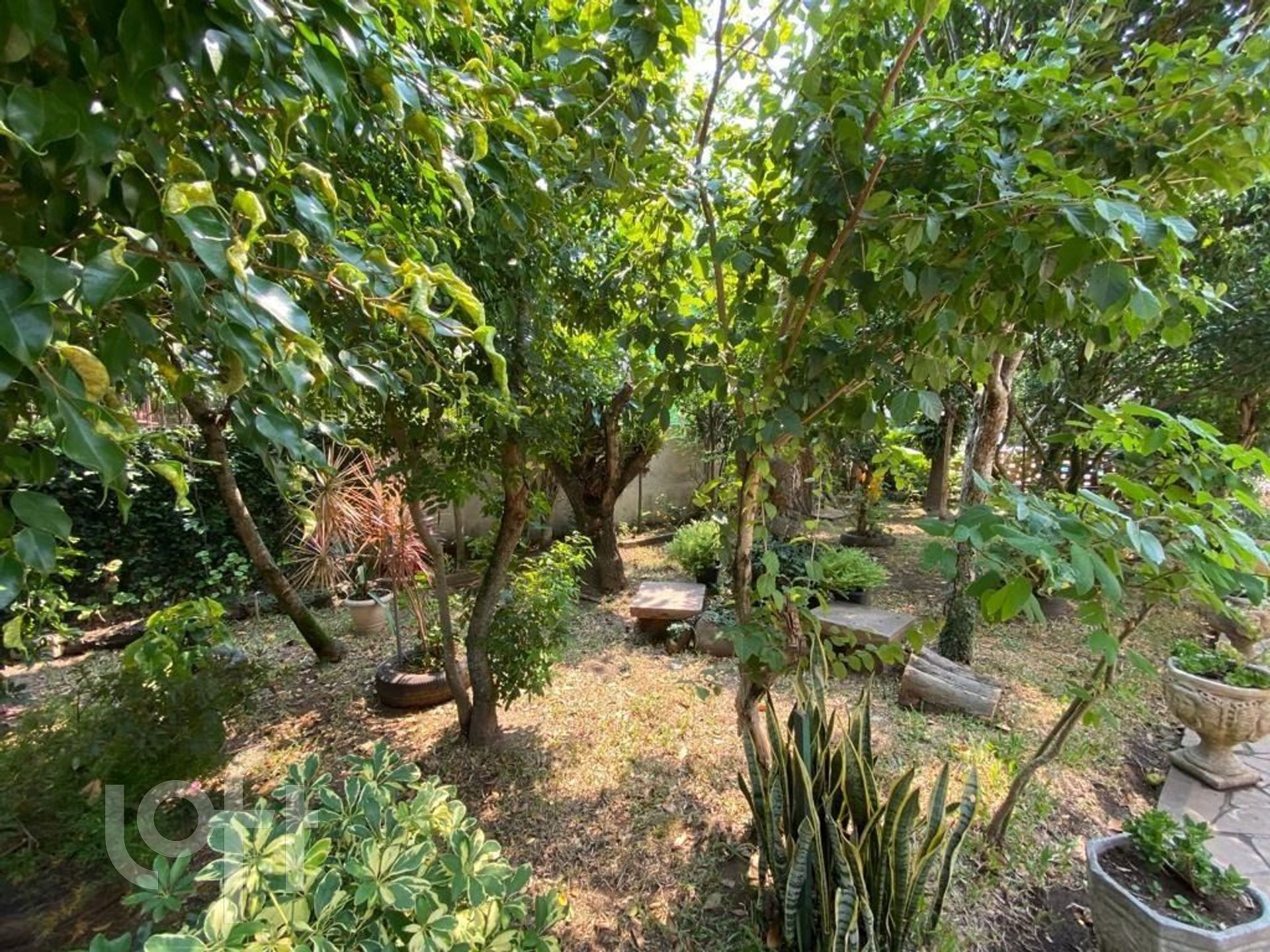 Imagem da propriedade 3