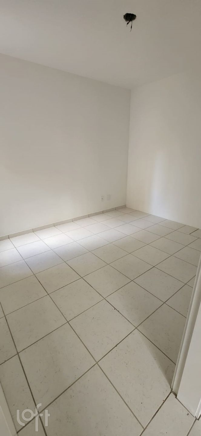 Imagem da propriedade 11