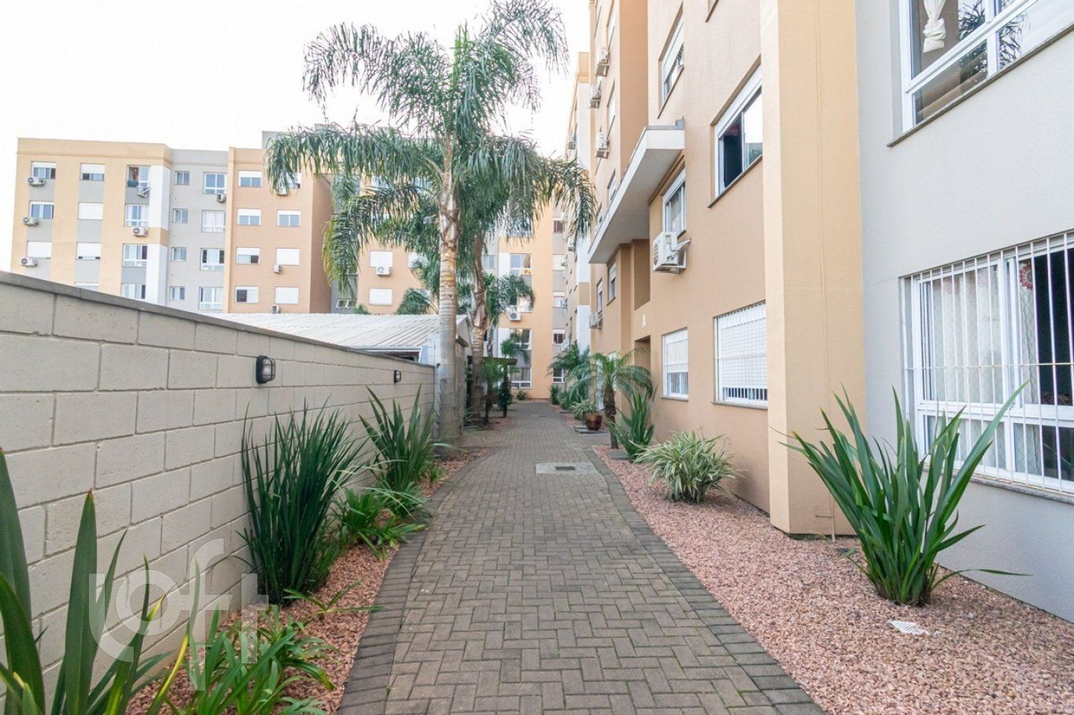 Imagem da propriedade 3