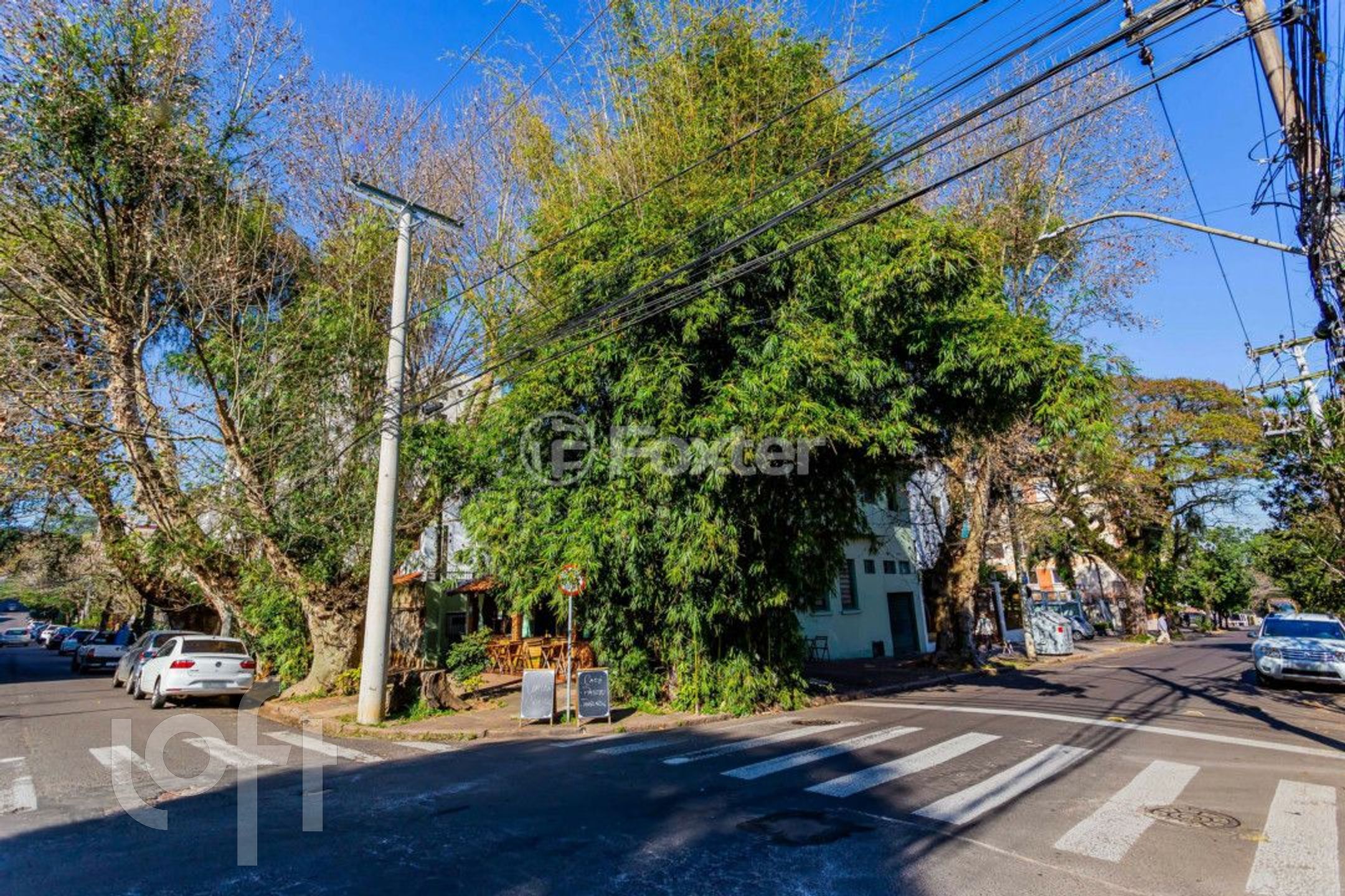 Imagem da propriedade 12