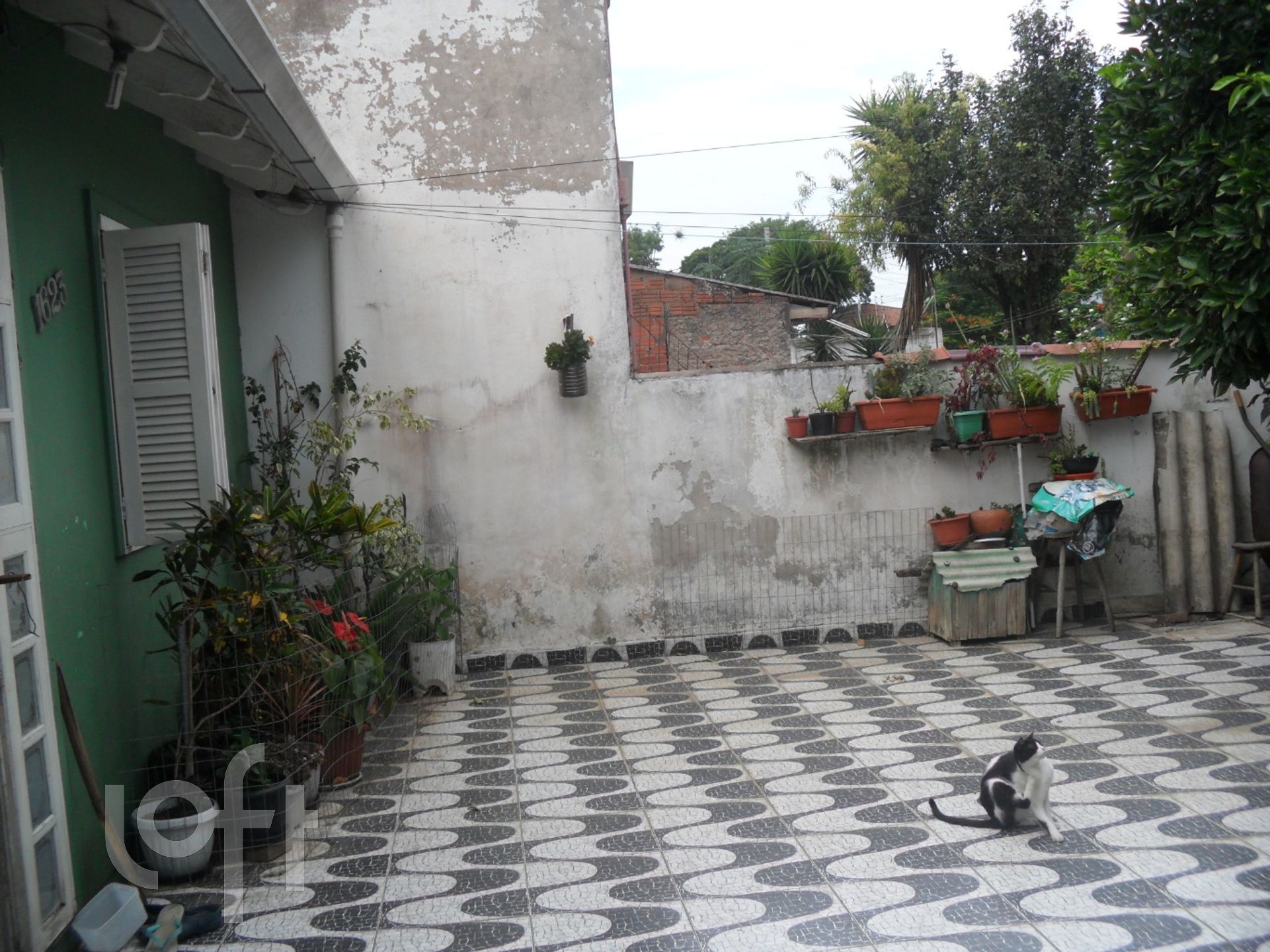 Imagem da propriedade 11