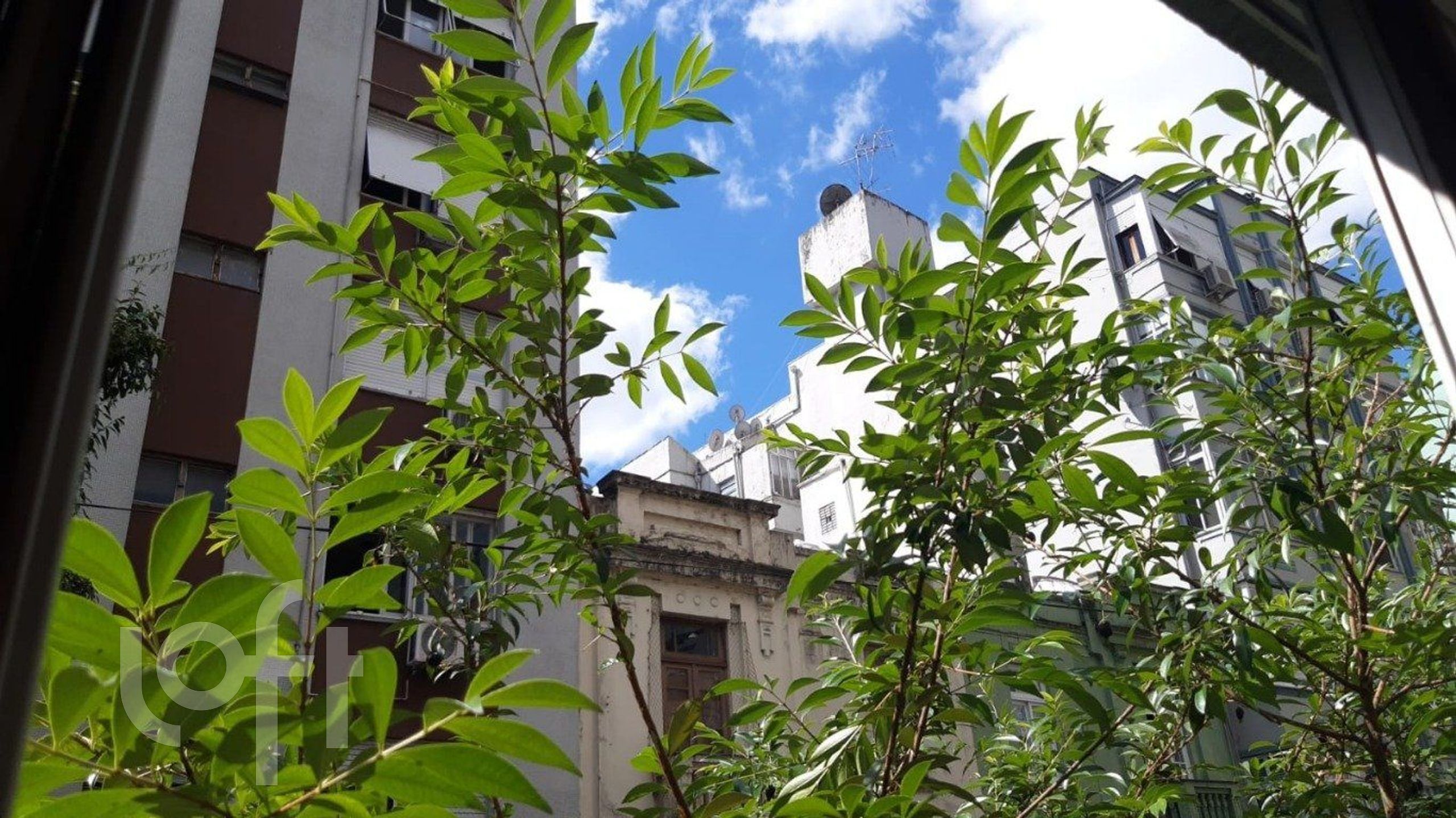 Imagem da propriedade 13