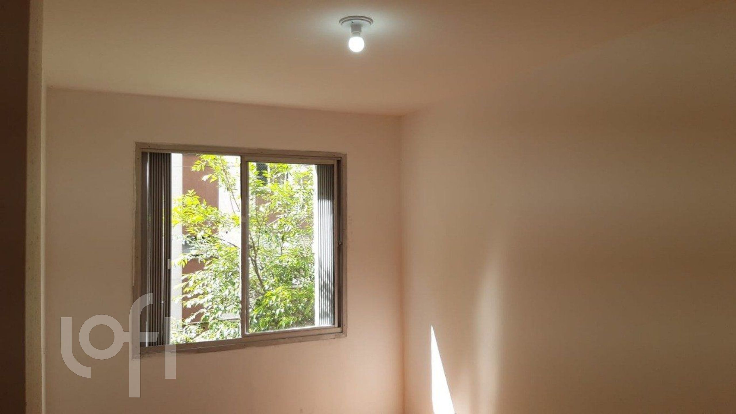 Imagem da propriedade 11