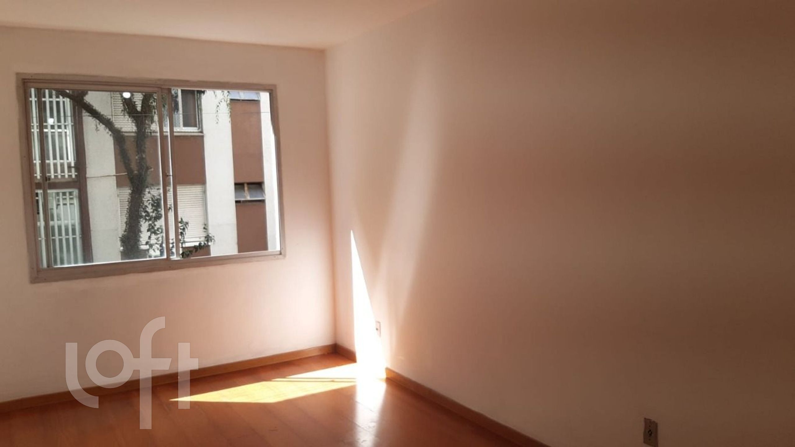 Imagem da propriedade 3