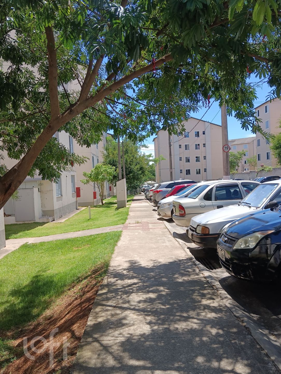 Imagem da propriedade 15