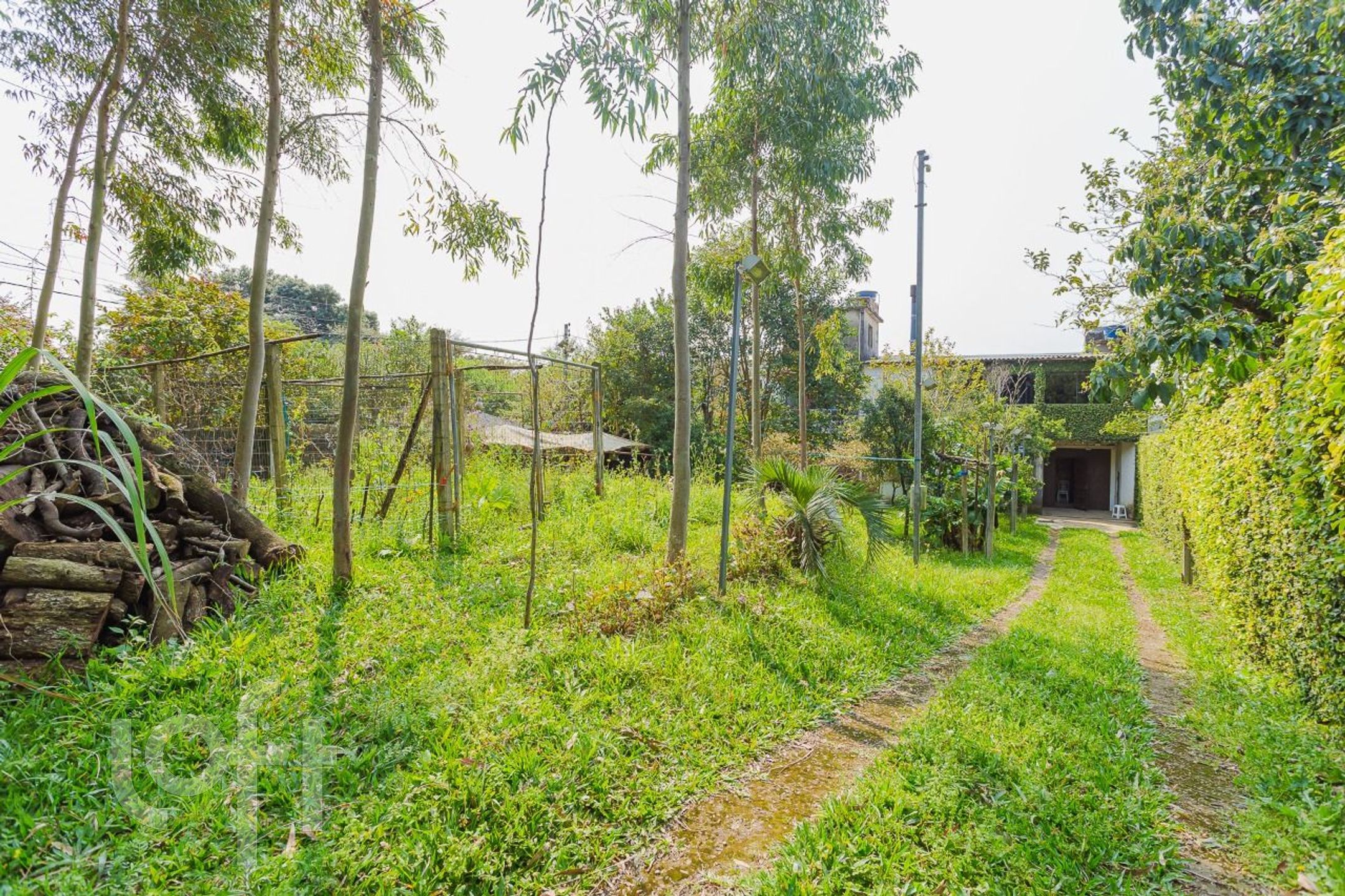 Imagem da propriedade 56