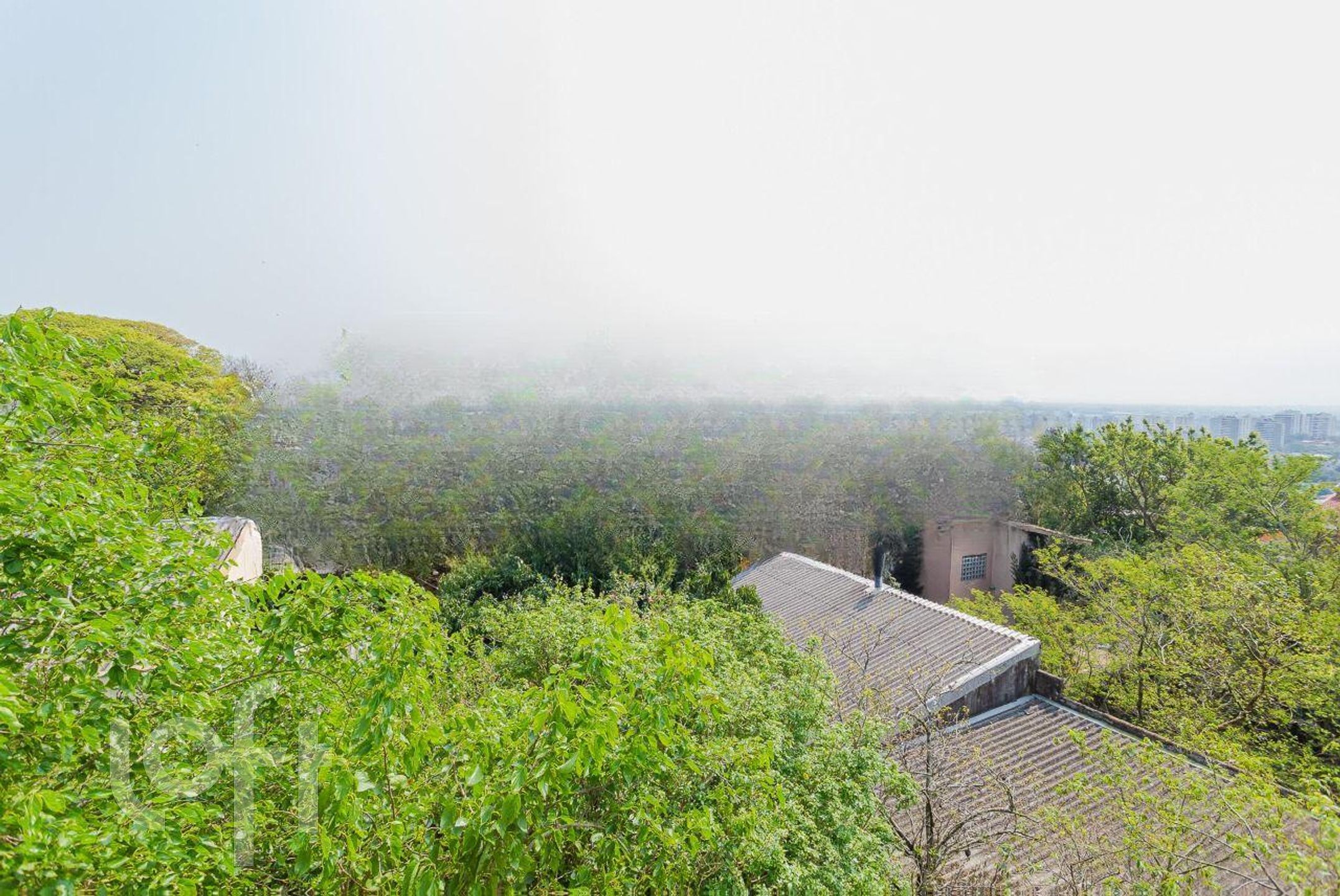 Imagem da propriedade 17