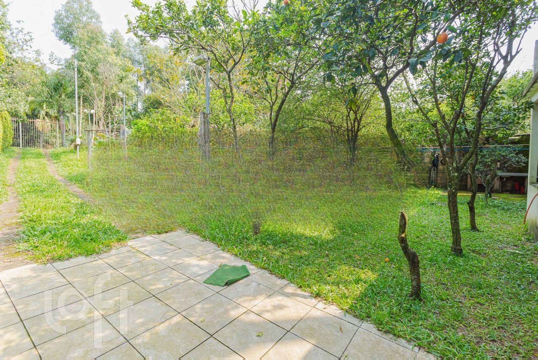 Imagem da propriedade 47