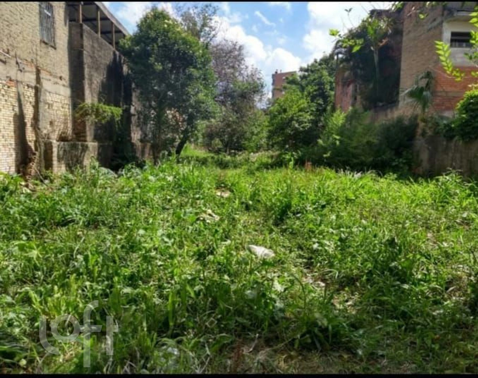 Imagem da propriedade 9