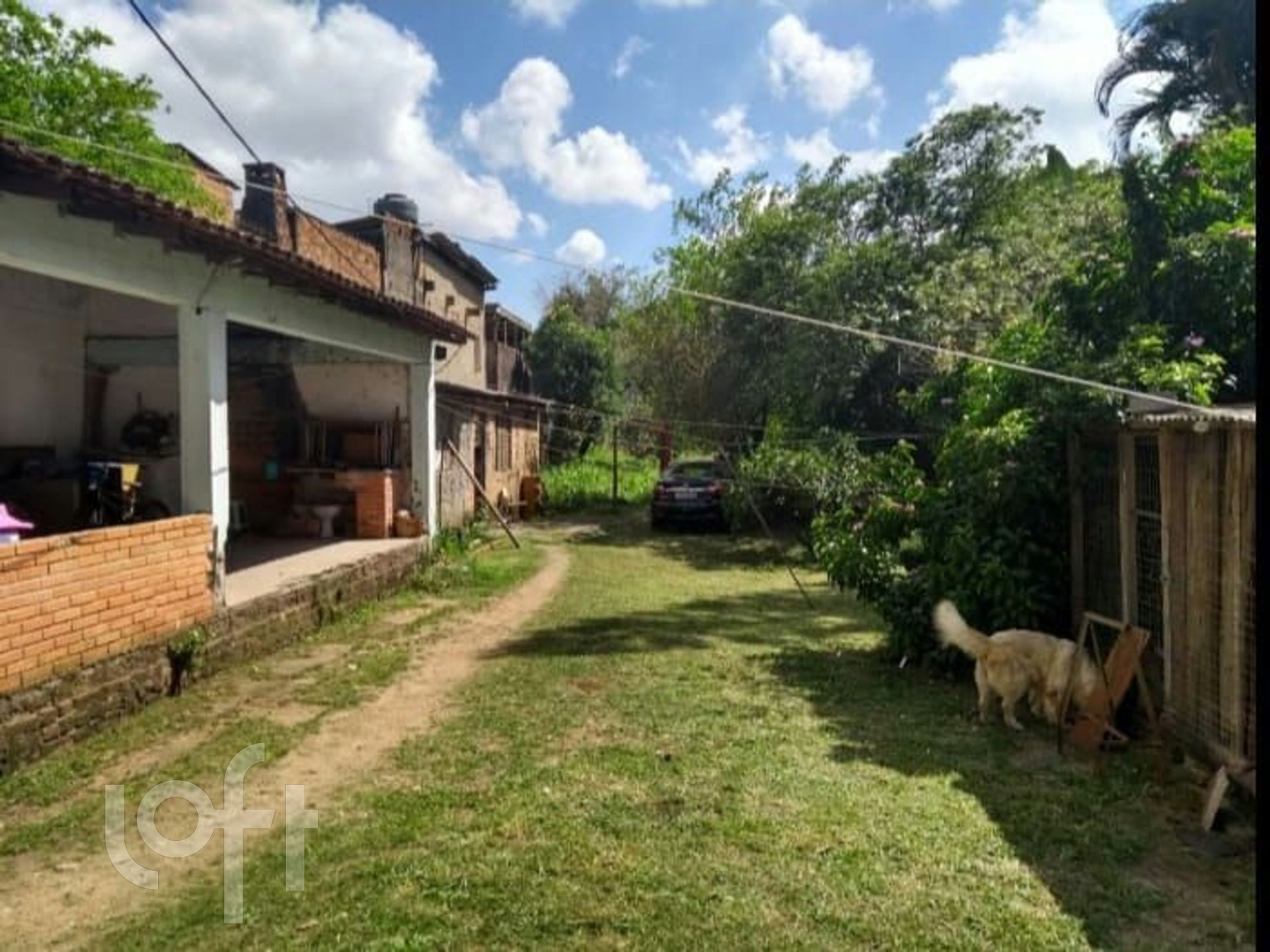 Imagem da propriedade 6