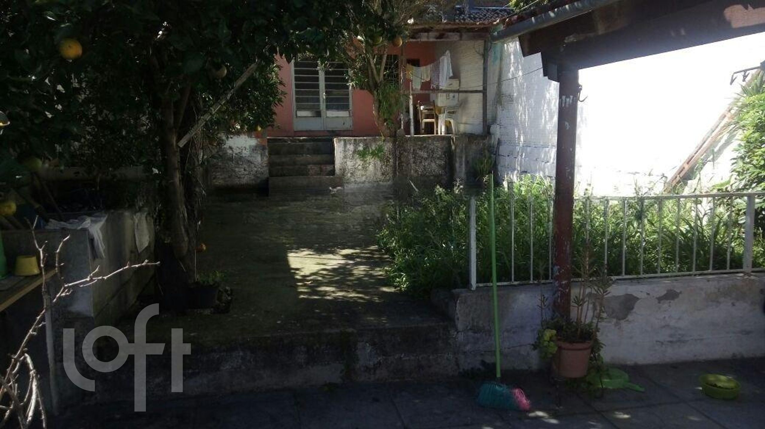 Imagem da propriedade 5