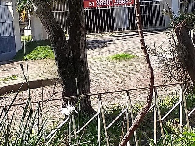 Casa com 121m², 2 dormitórios, Cristo Redentor em Porto Alegre