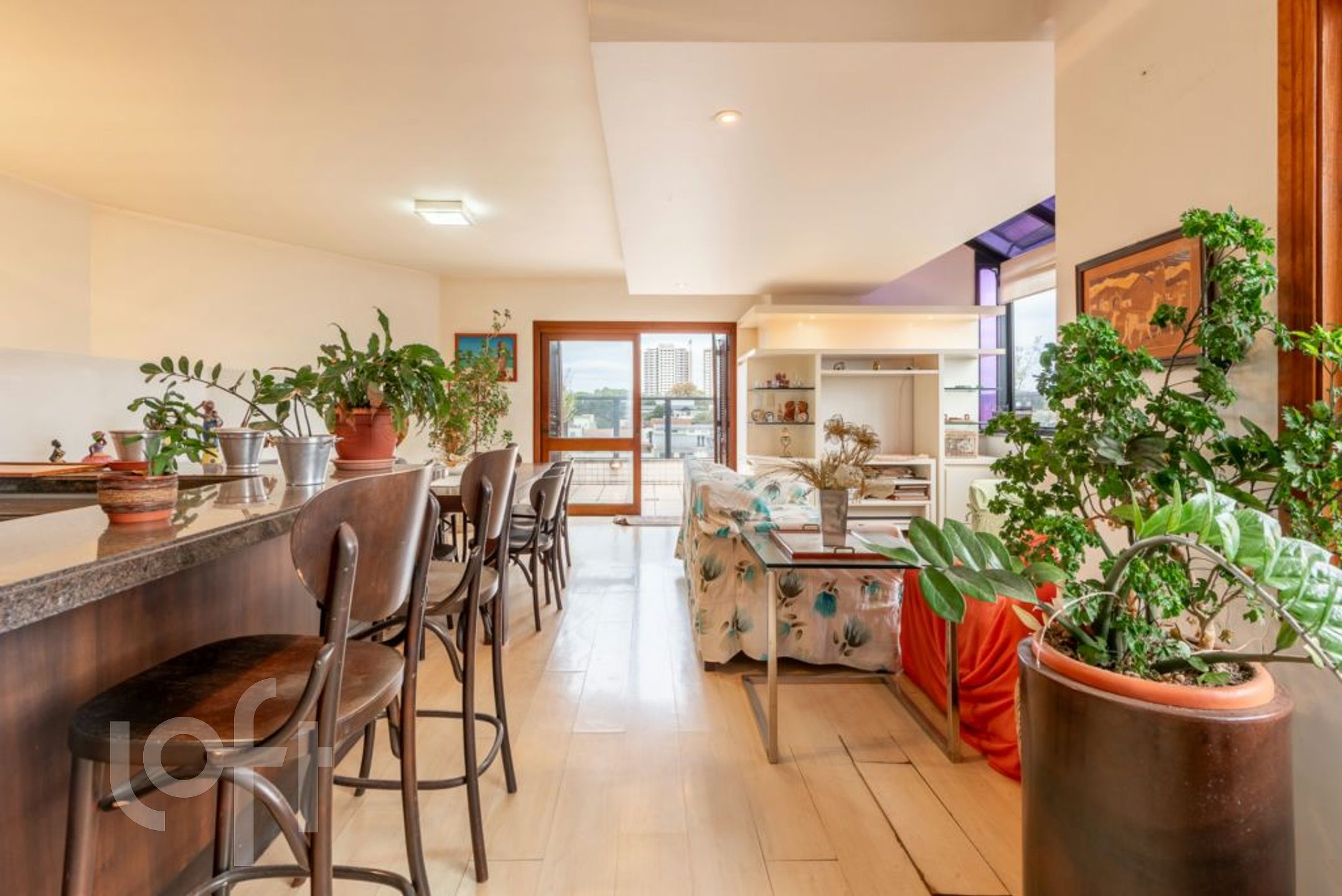 Imagem da propriedade 24