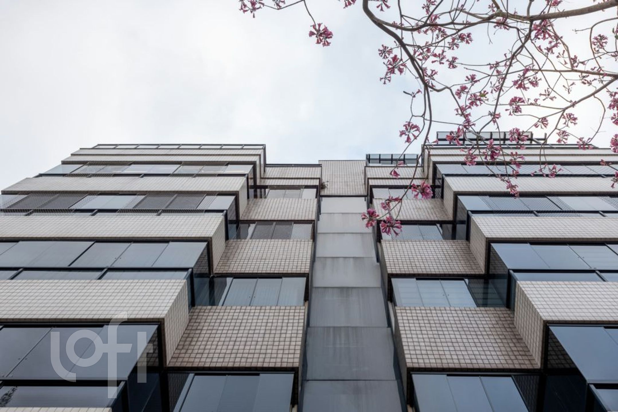 Imagem da propriedade 37