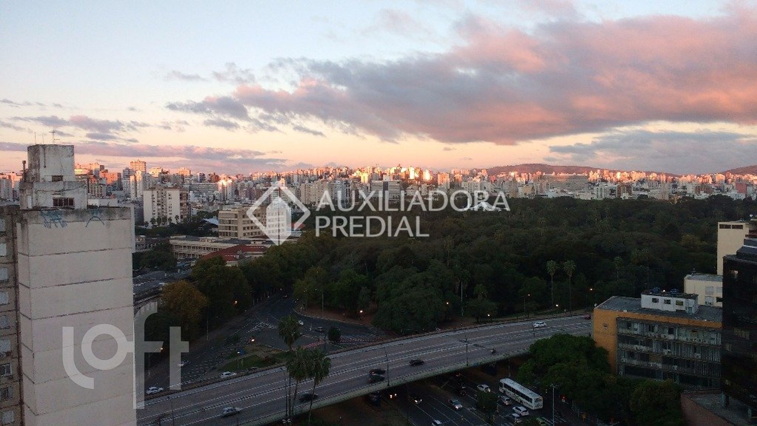 Imagem da propriedade 6