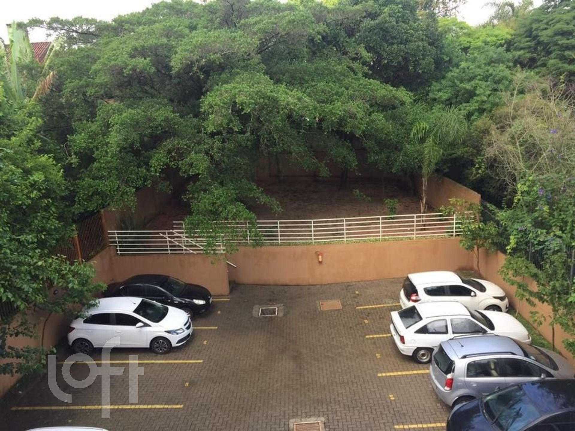 Imagem da propriedade 8