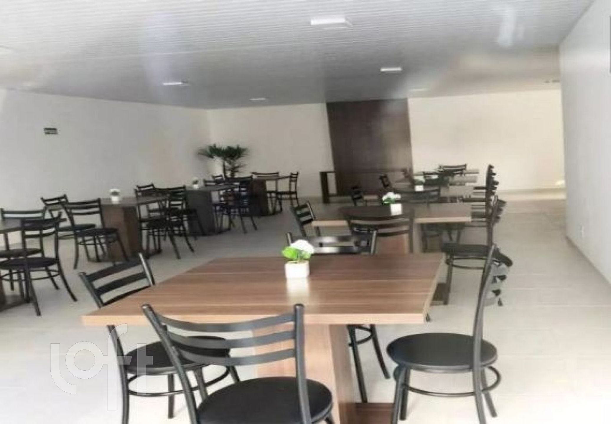 Imagem da propriedade 19