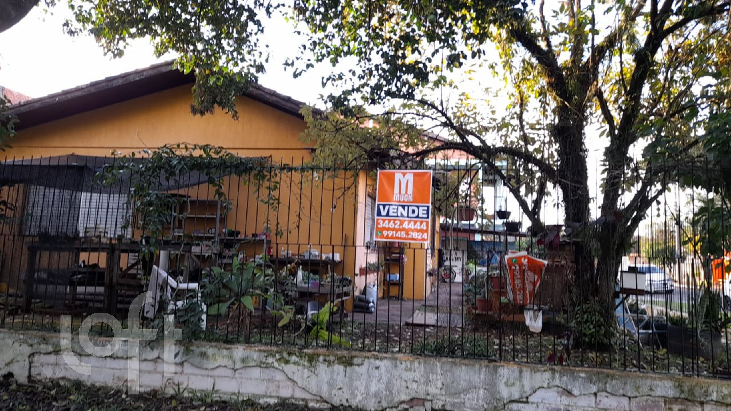 Imagem da propriedade 11