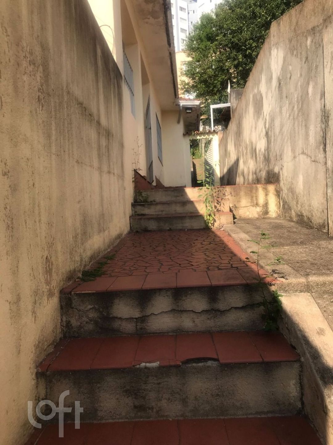 Imagem da propriedade 74020 15