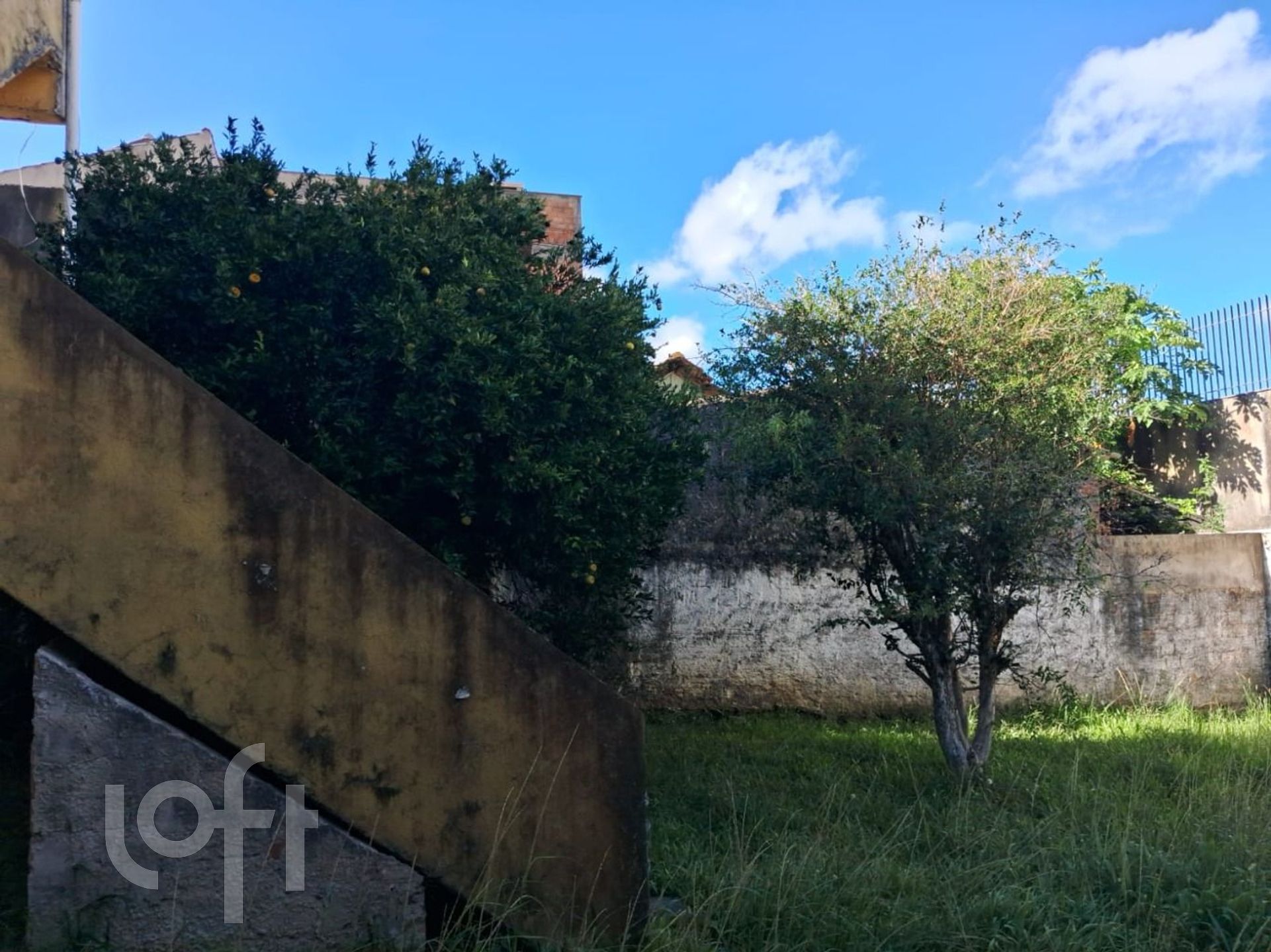 Imagem da propriedade 24