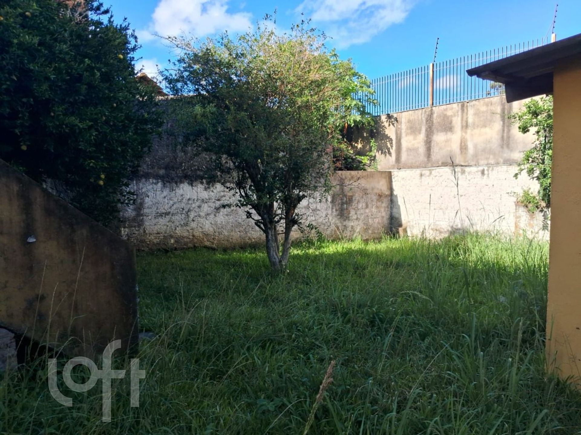 Imagem da propriedade 23
