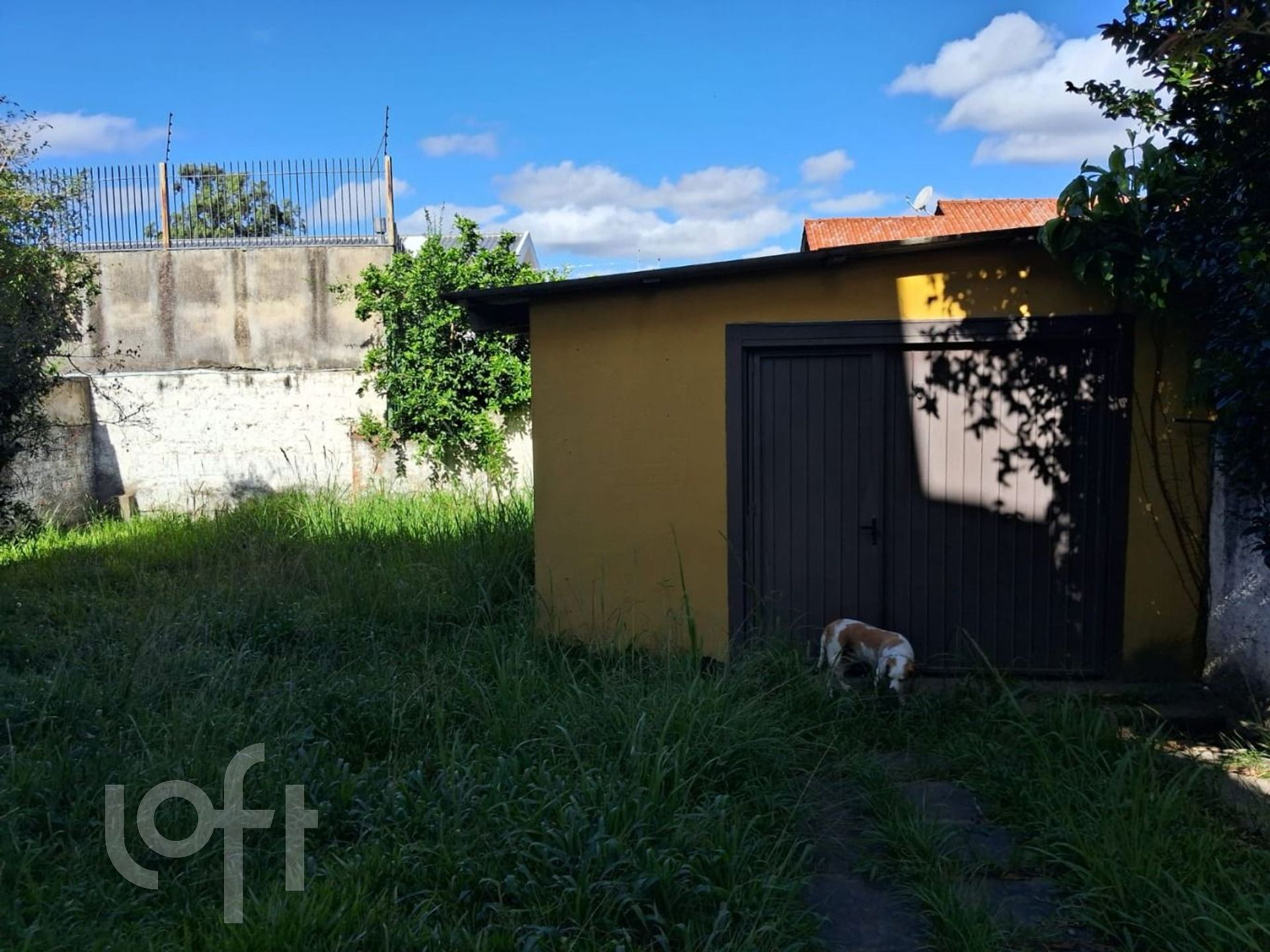 Imagem da propriedade 26