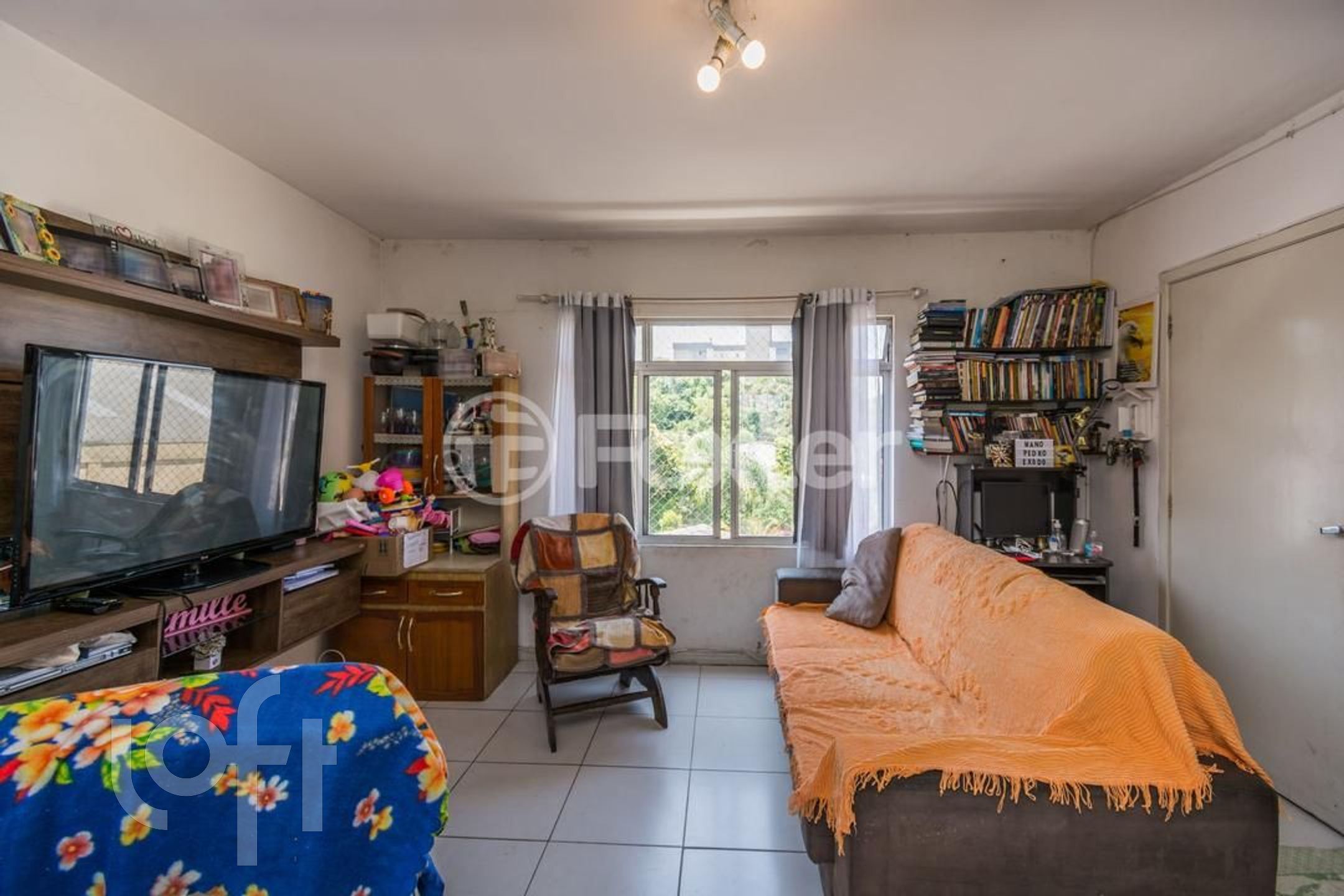 Imagem da propriedade 3