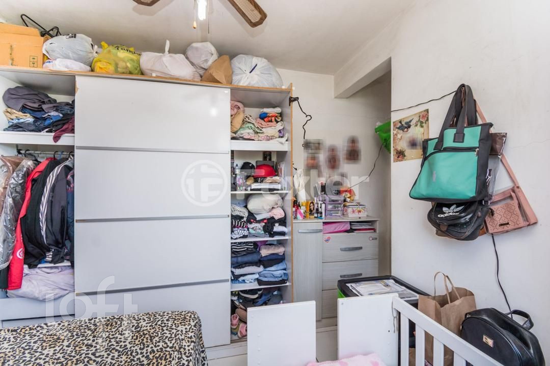 Imagem da propriedade 12