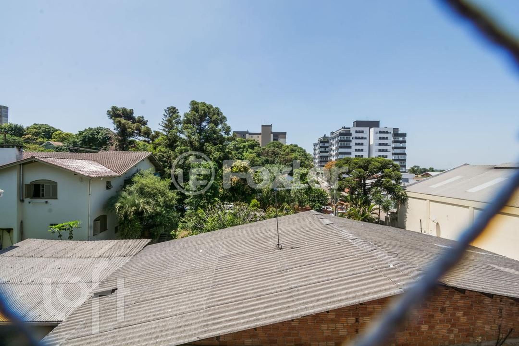 Imagem da propriedade 5