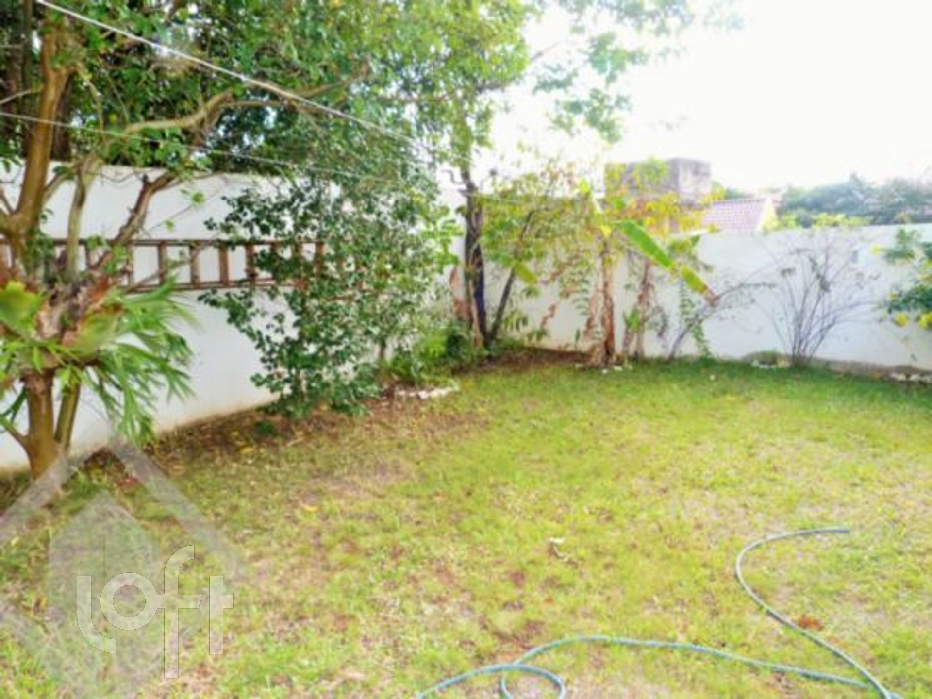 Imagem da propriedade 24