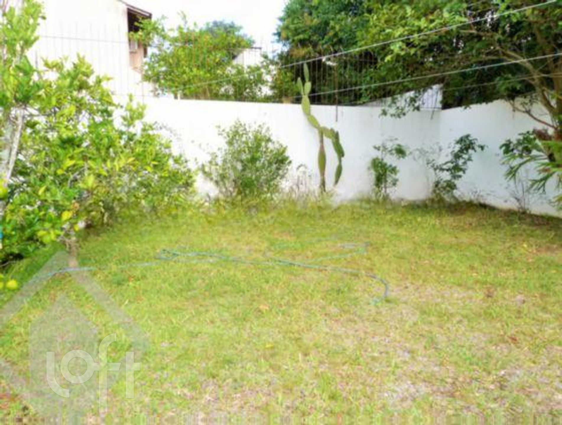 Imagem da propriedade 25