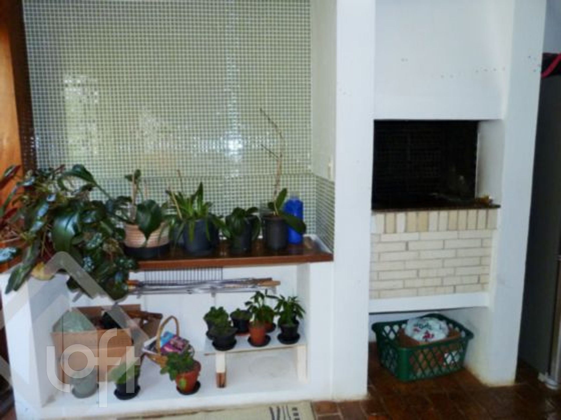 Imagem da propriedade 4