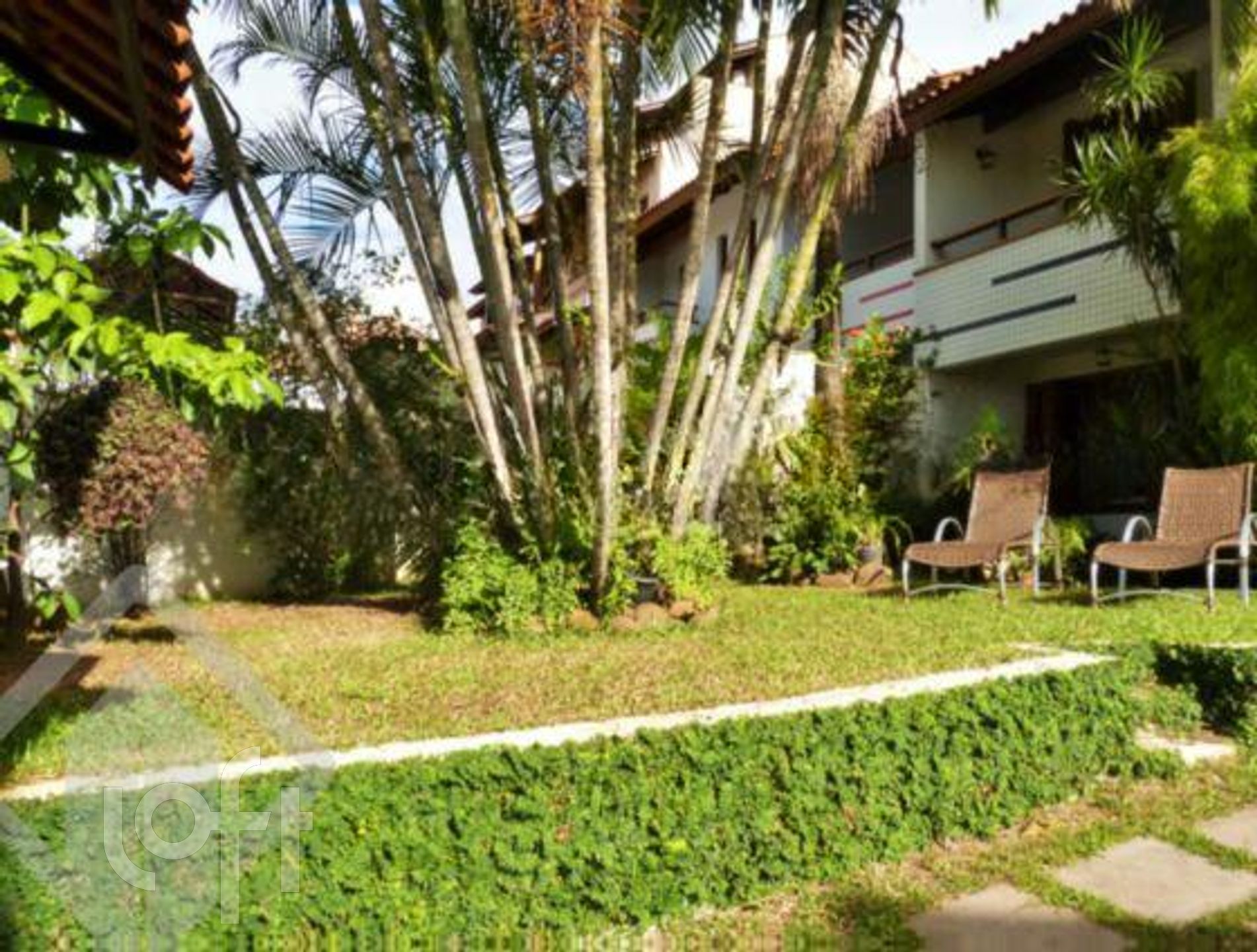 Imagem da propriedade 31