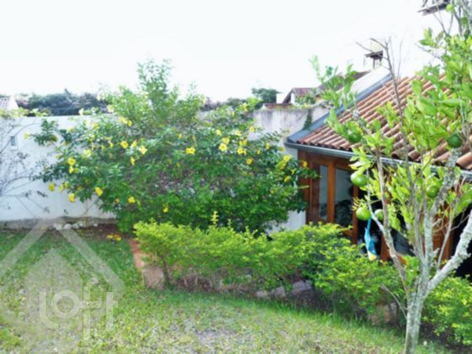 Imagem da propriedade 27