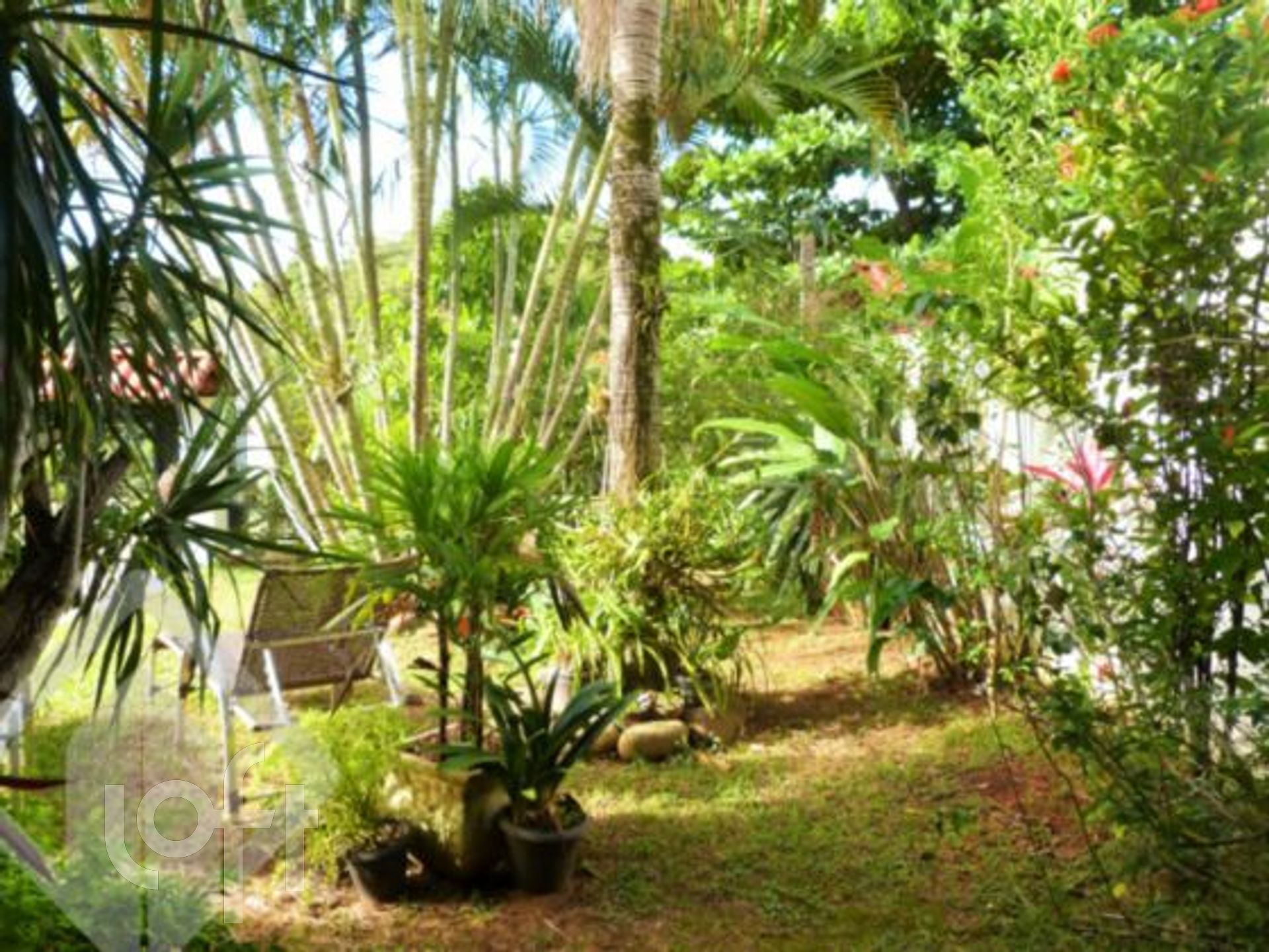 Imagem da propriedade 32