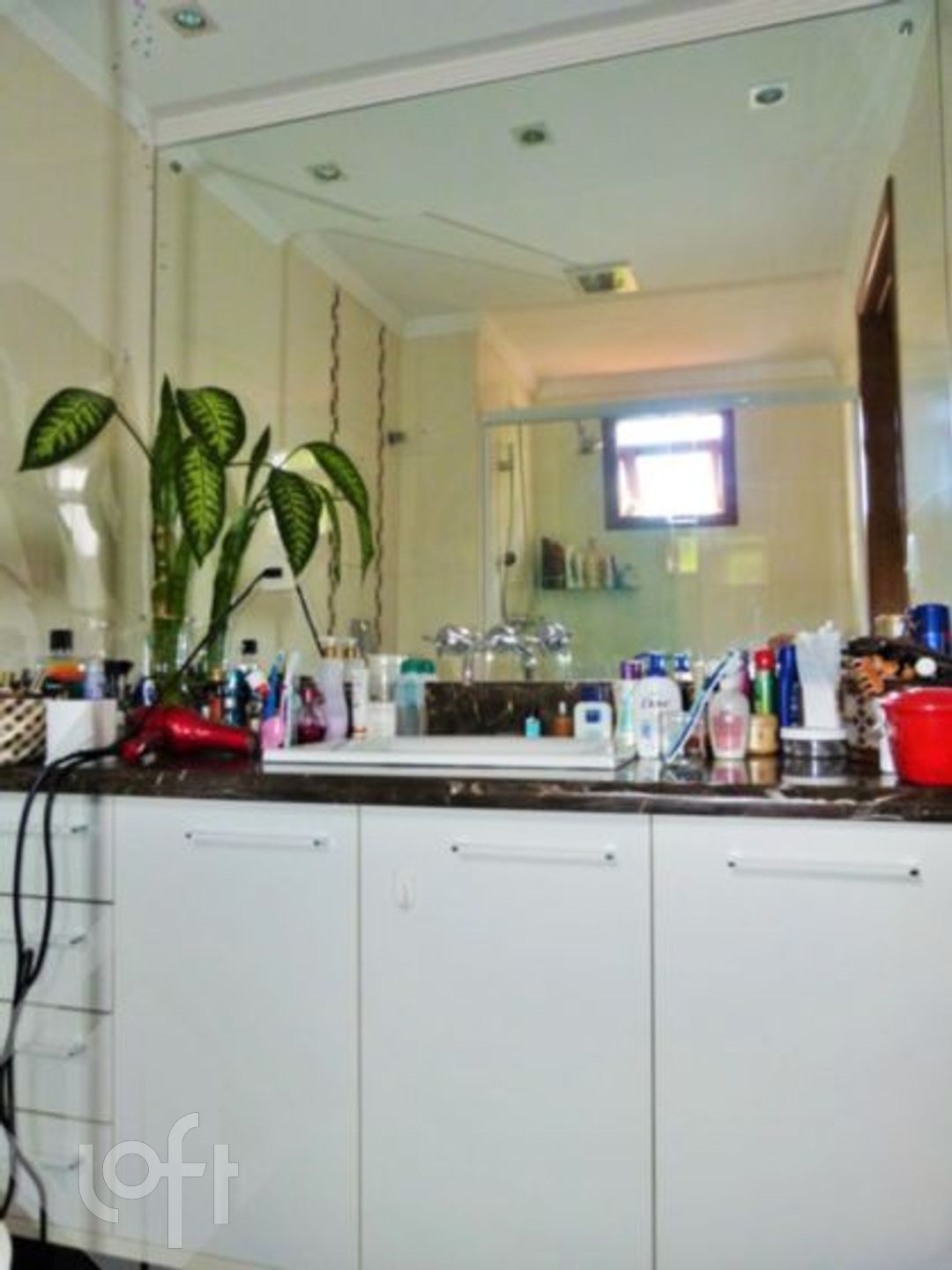 Imagem da propriedade 12