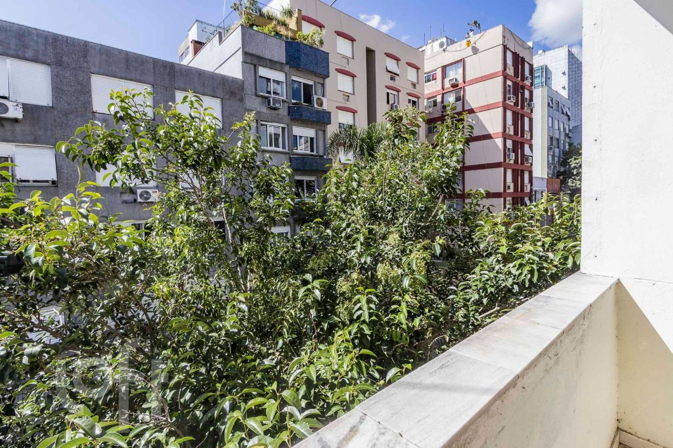 Imagem da propriedade 17