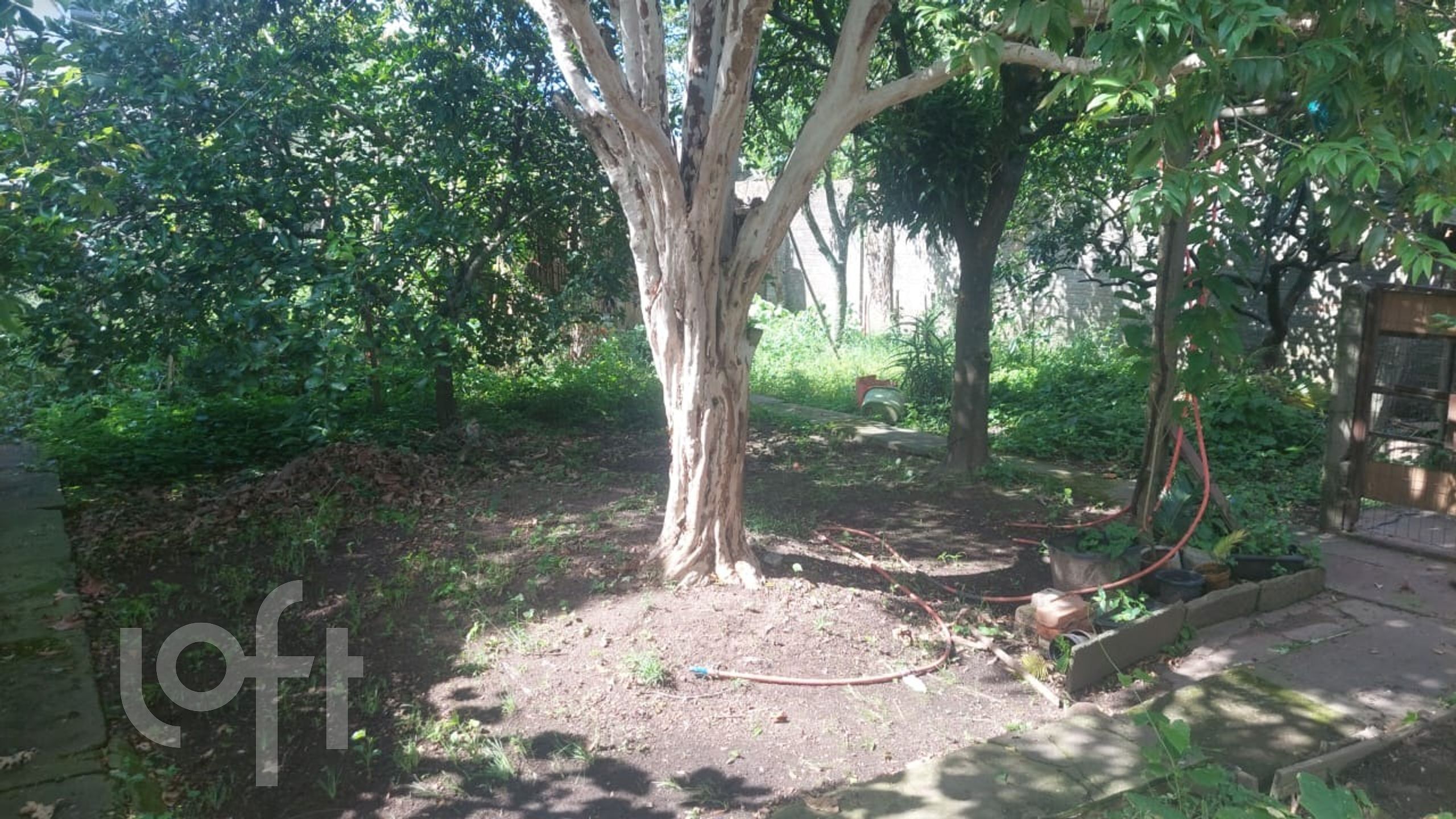 Imagem da propriedade 10