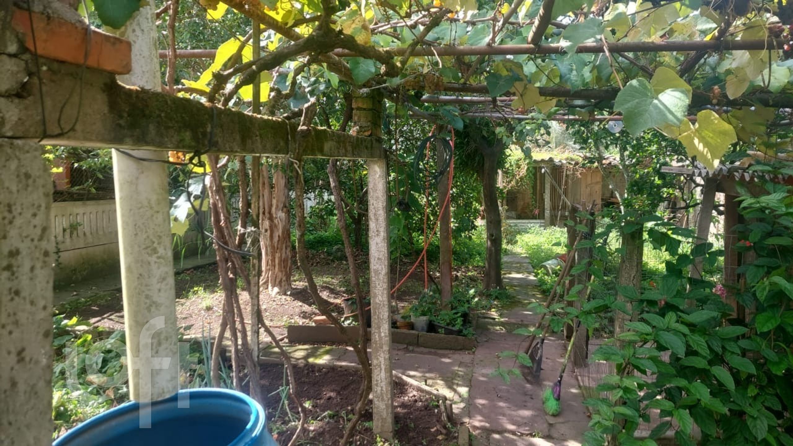 Imagem da propriedade 9