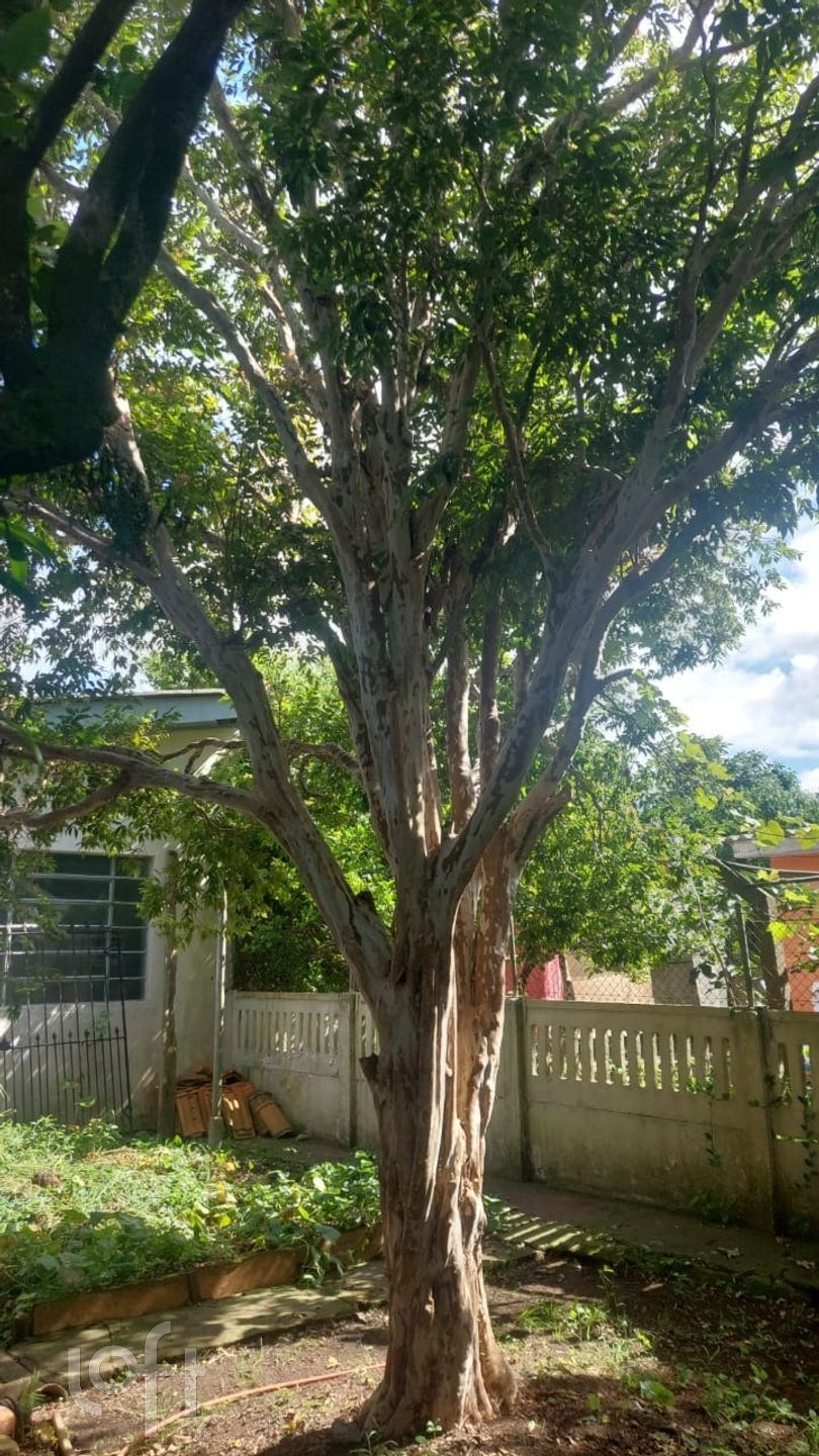 Imagem da propriedade 12