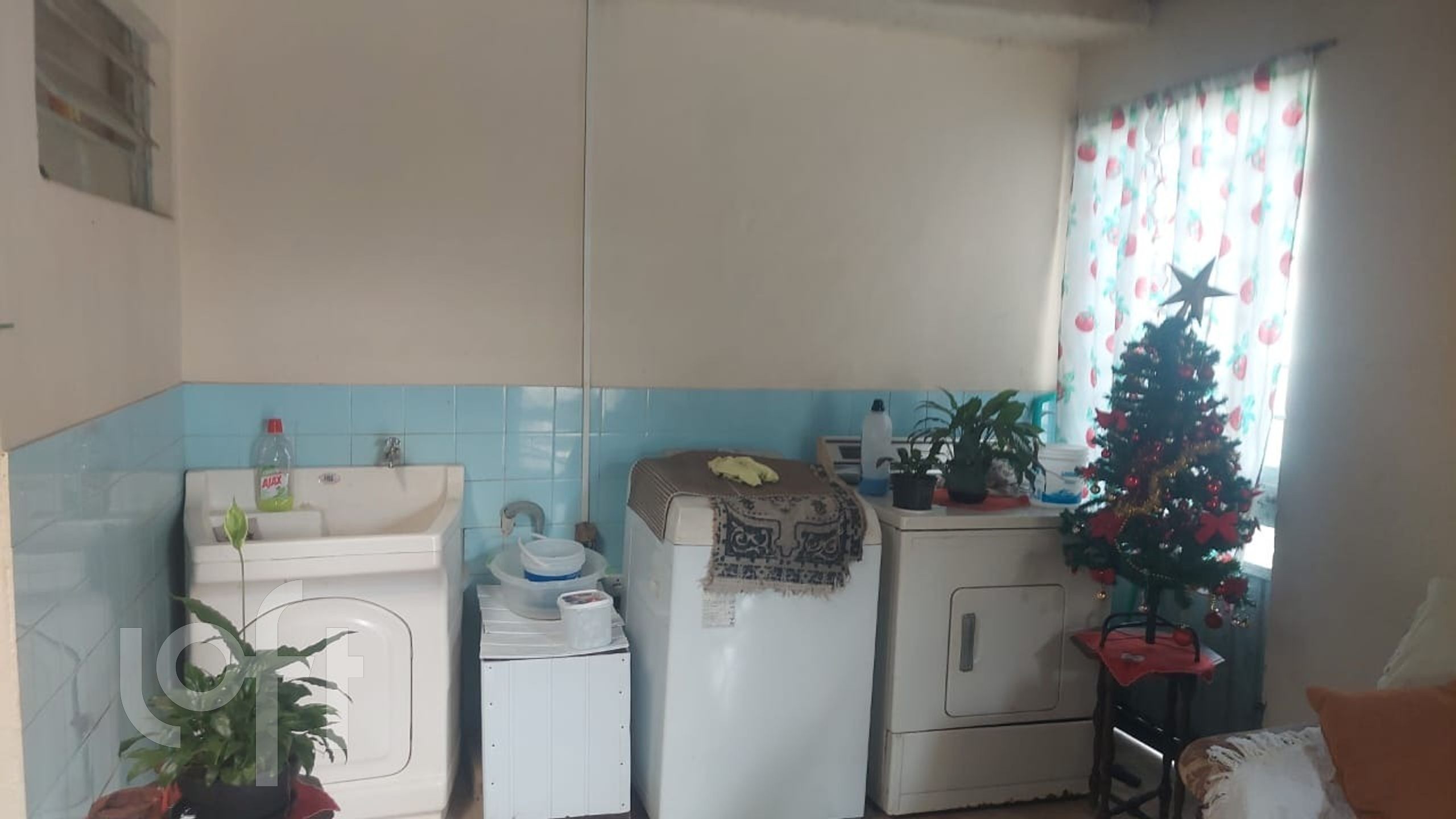 Imagem da propriedade 19