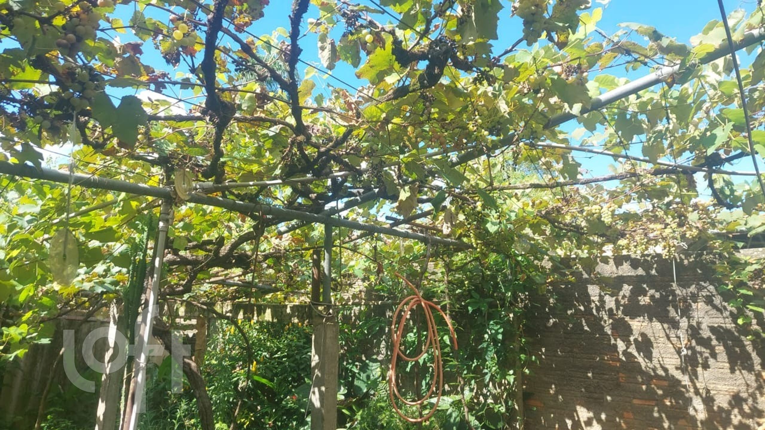 Imagem da propriedade 8