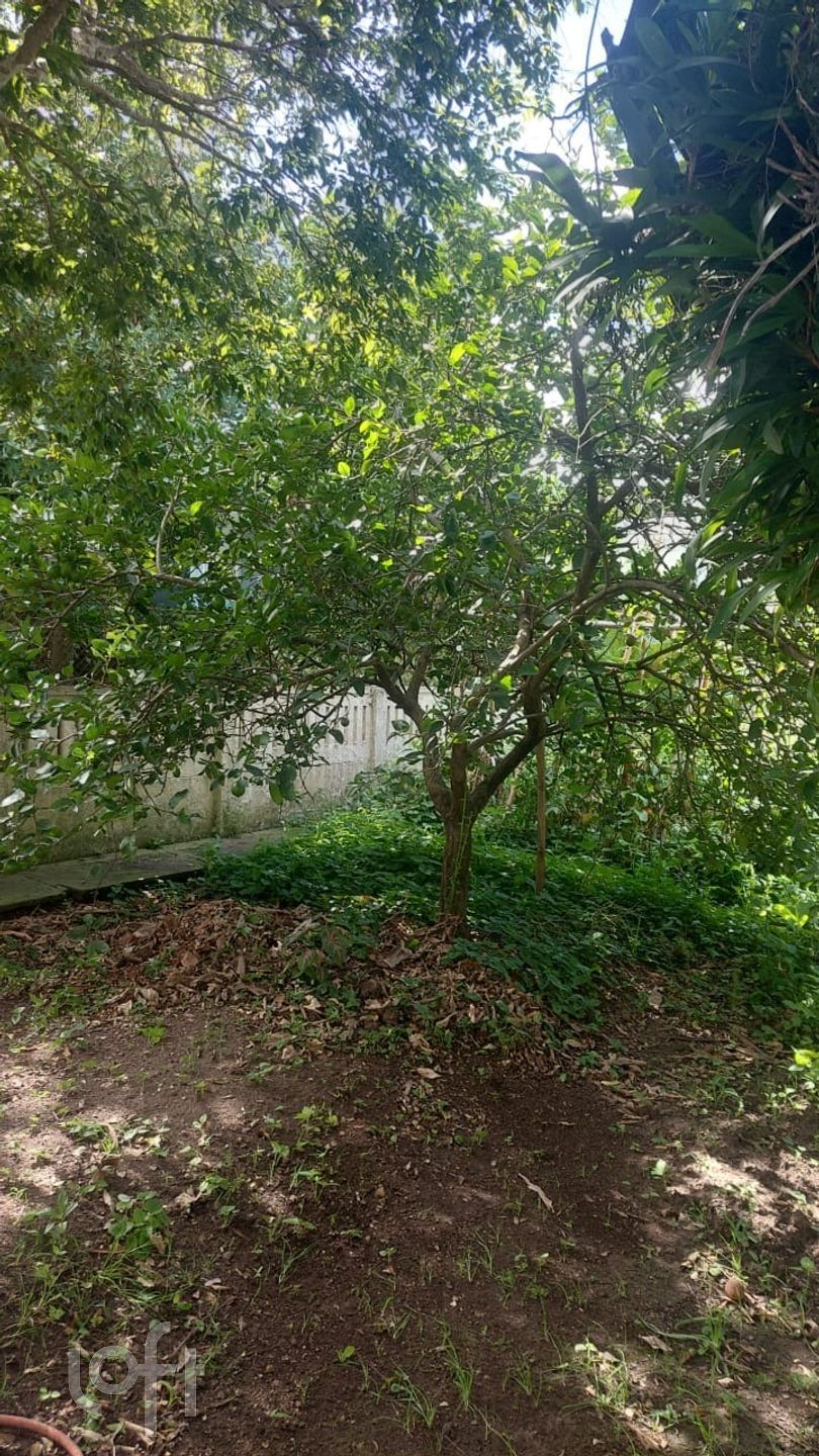 Imagem da propriedade 11