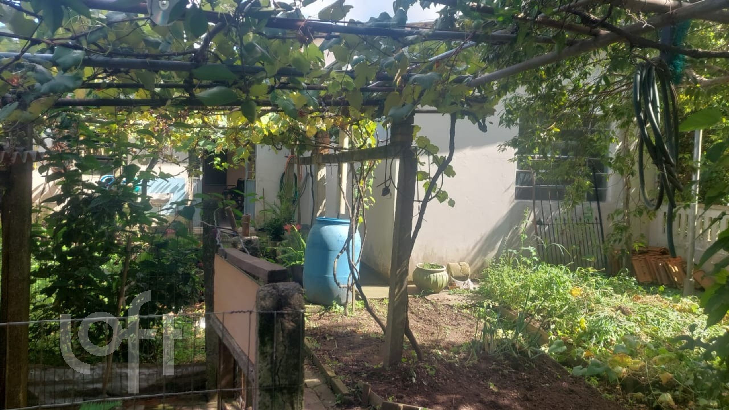 Imagem da propriedade 13