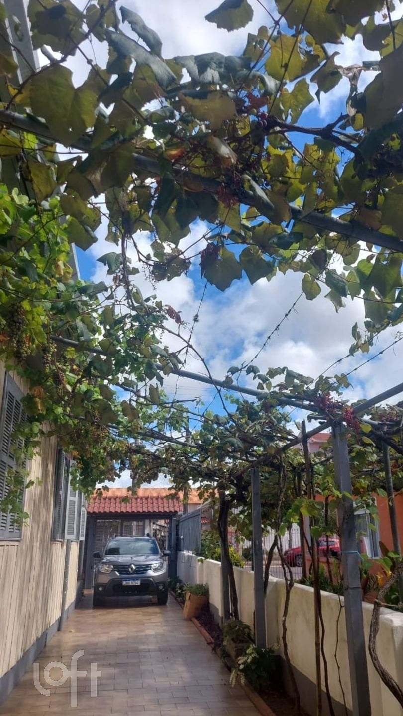 Imagem da propriedade 26