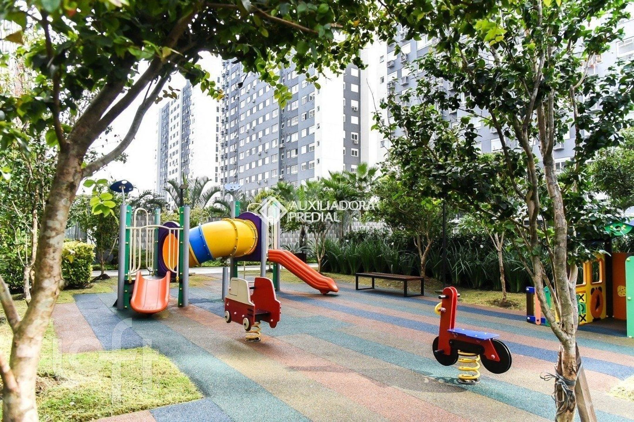 Imagem da propriedade 81