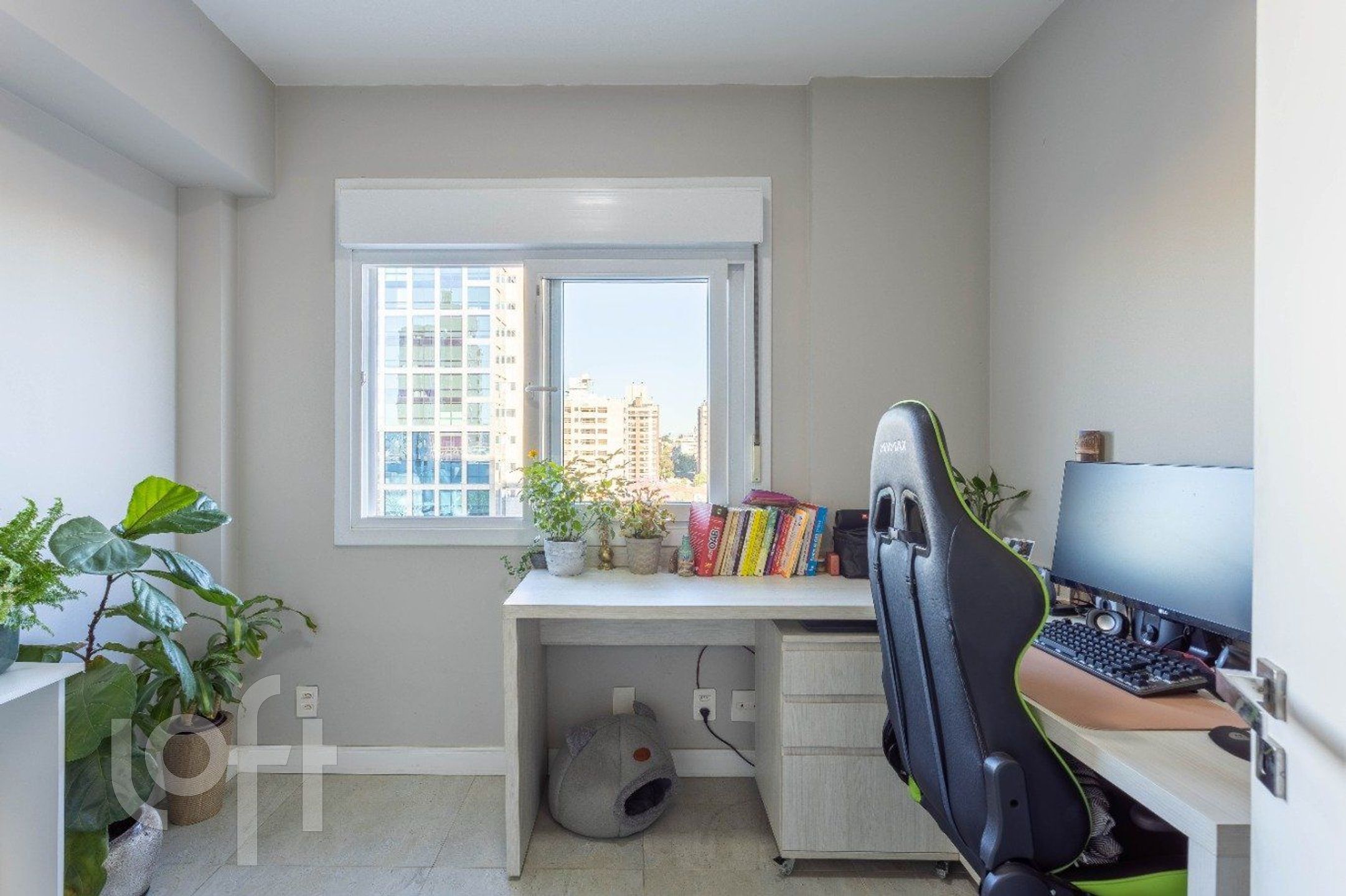 Imagem da propriedade 19